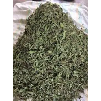 Fresh Dry Stevia Leaf 